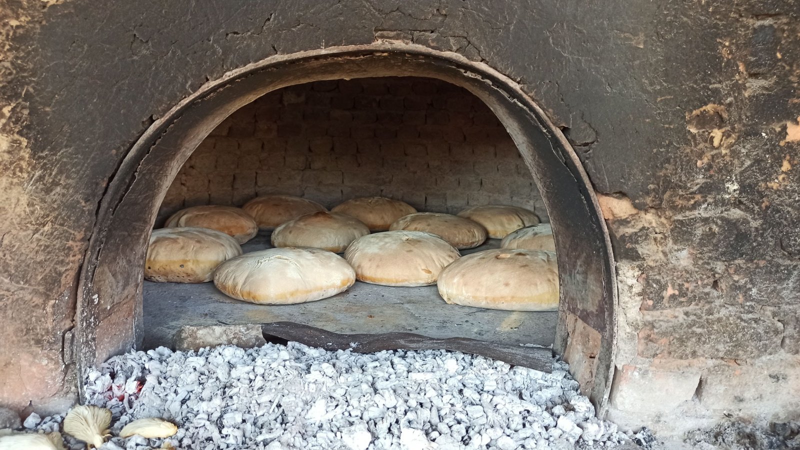 Village bread fire ash in stone oven Hakan Yuksell Shutterstock