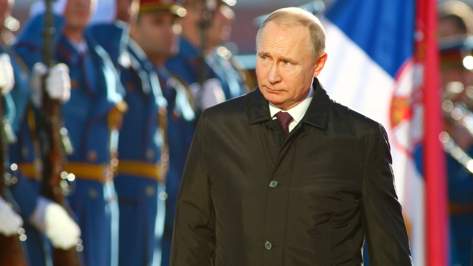 Vladimir Putin, the President Russia Sasa Dzambic Photography Shutterstock