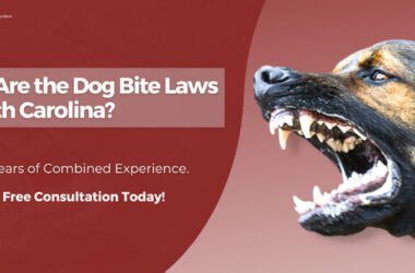 What Every Pet Owner Should Know About Dog Bite Laws