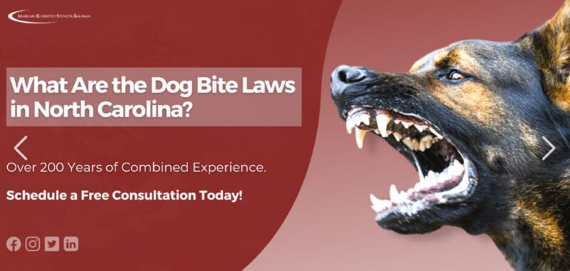 What Every Pet Owner Should Know About Dog Bite Laws