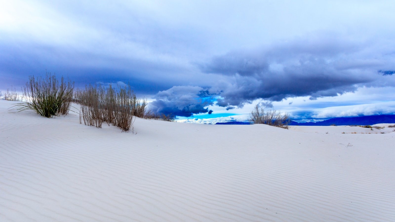 White Sands National Monument New Mexico Chris Curtis Shutterstock