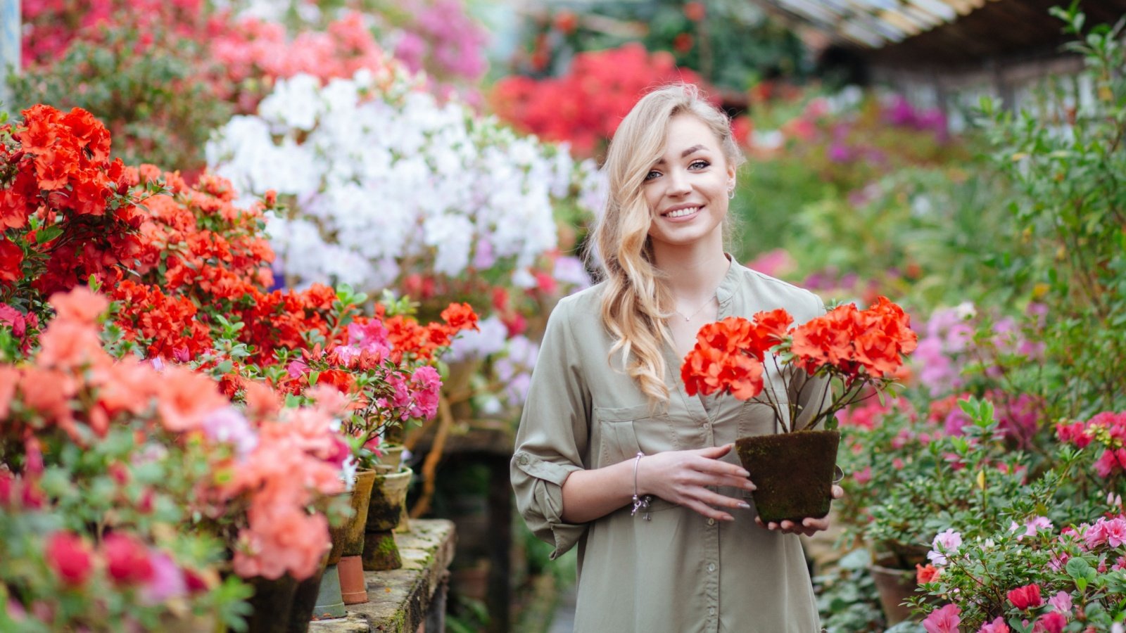 Woman Flowers azaleas garden store Maryna Tyshchenko Shutterstock