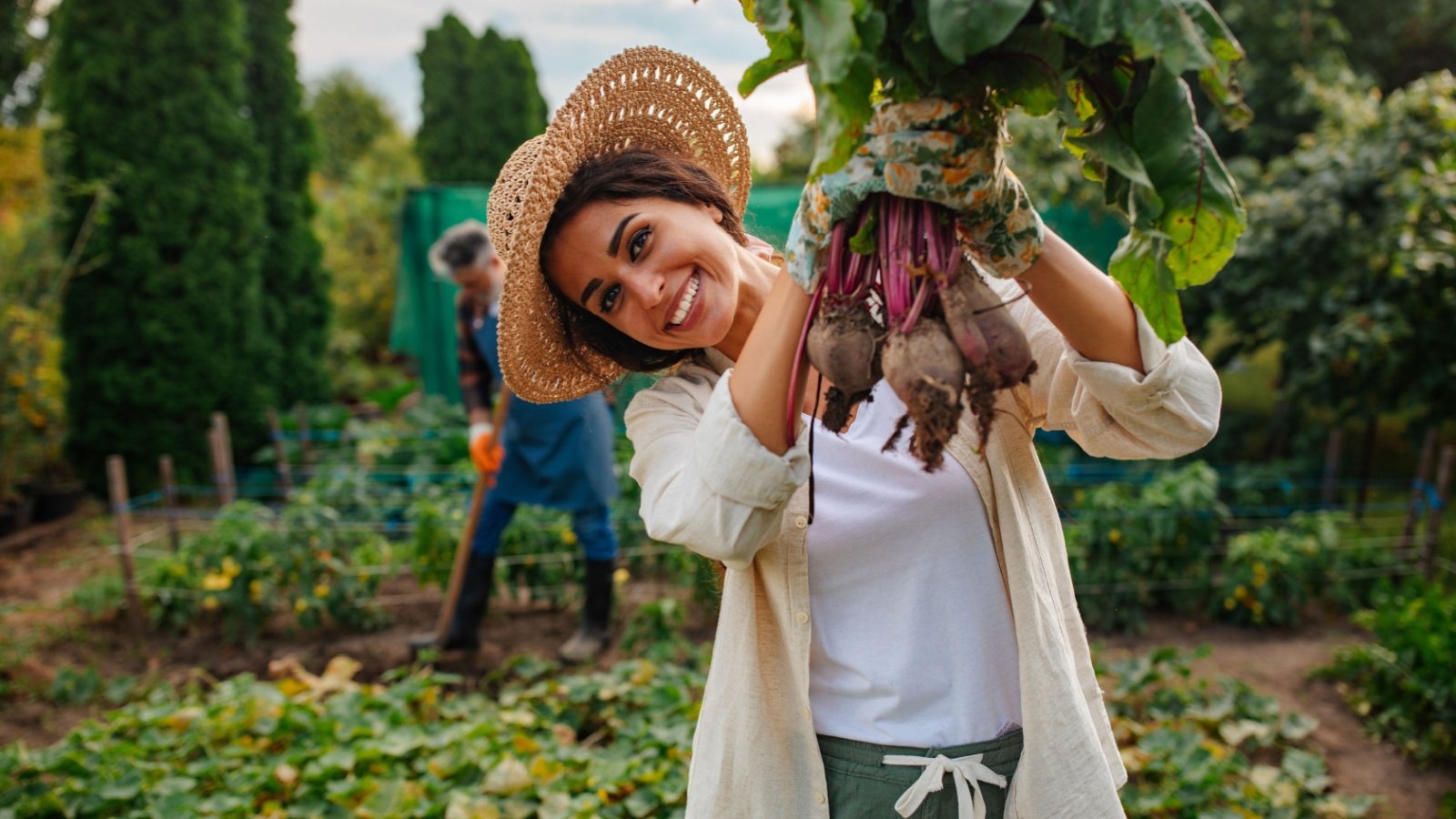 Woman Gardening Agriculture Farming Beets root vegetables bbernard Shutterstock