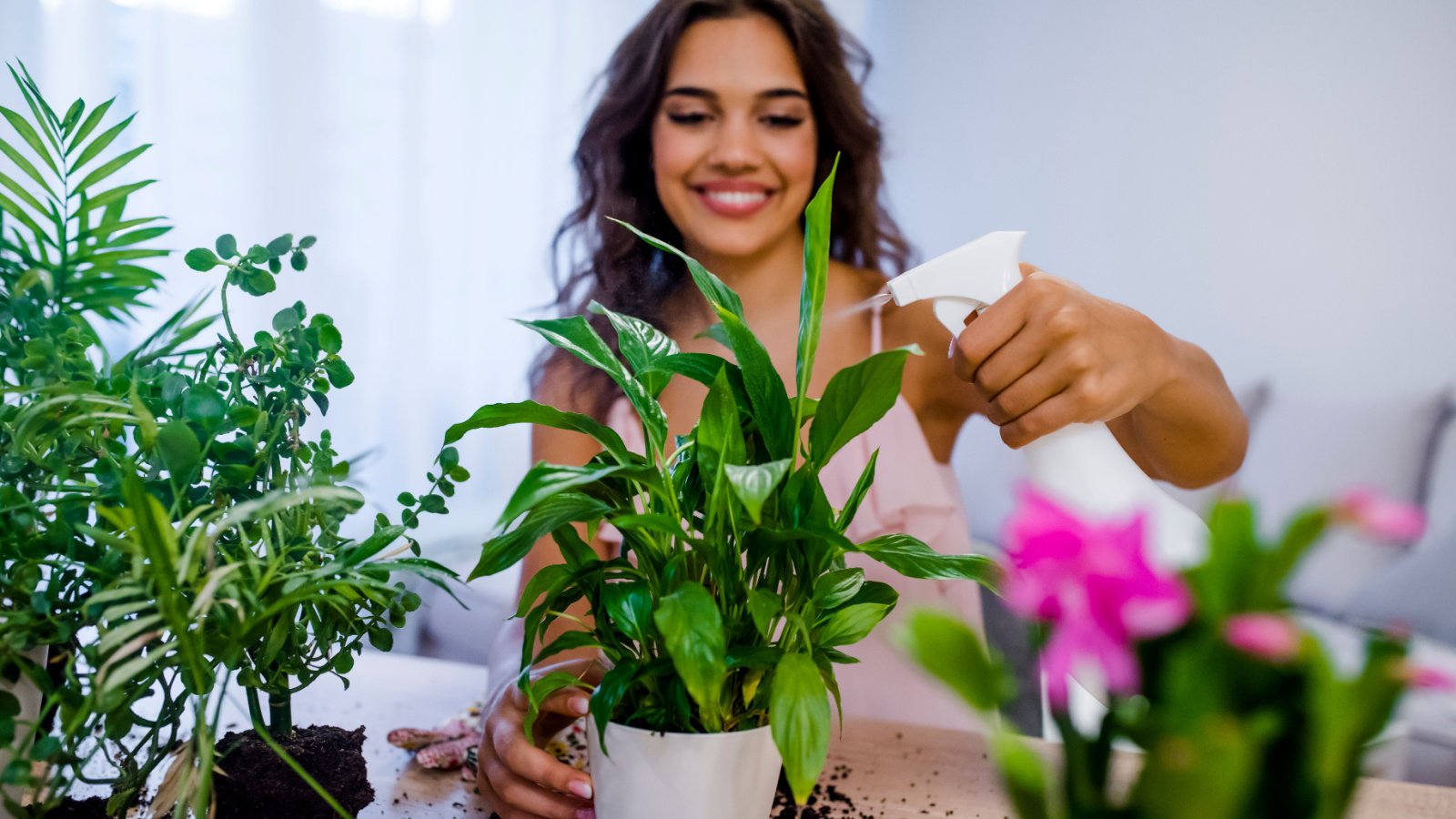 Woman Plants Florist Job Decor Home Deisgn Hobby Garden Dragana Gordic Shutterstock