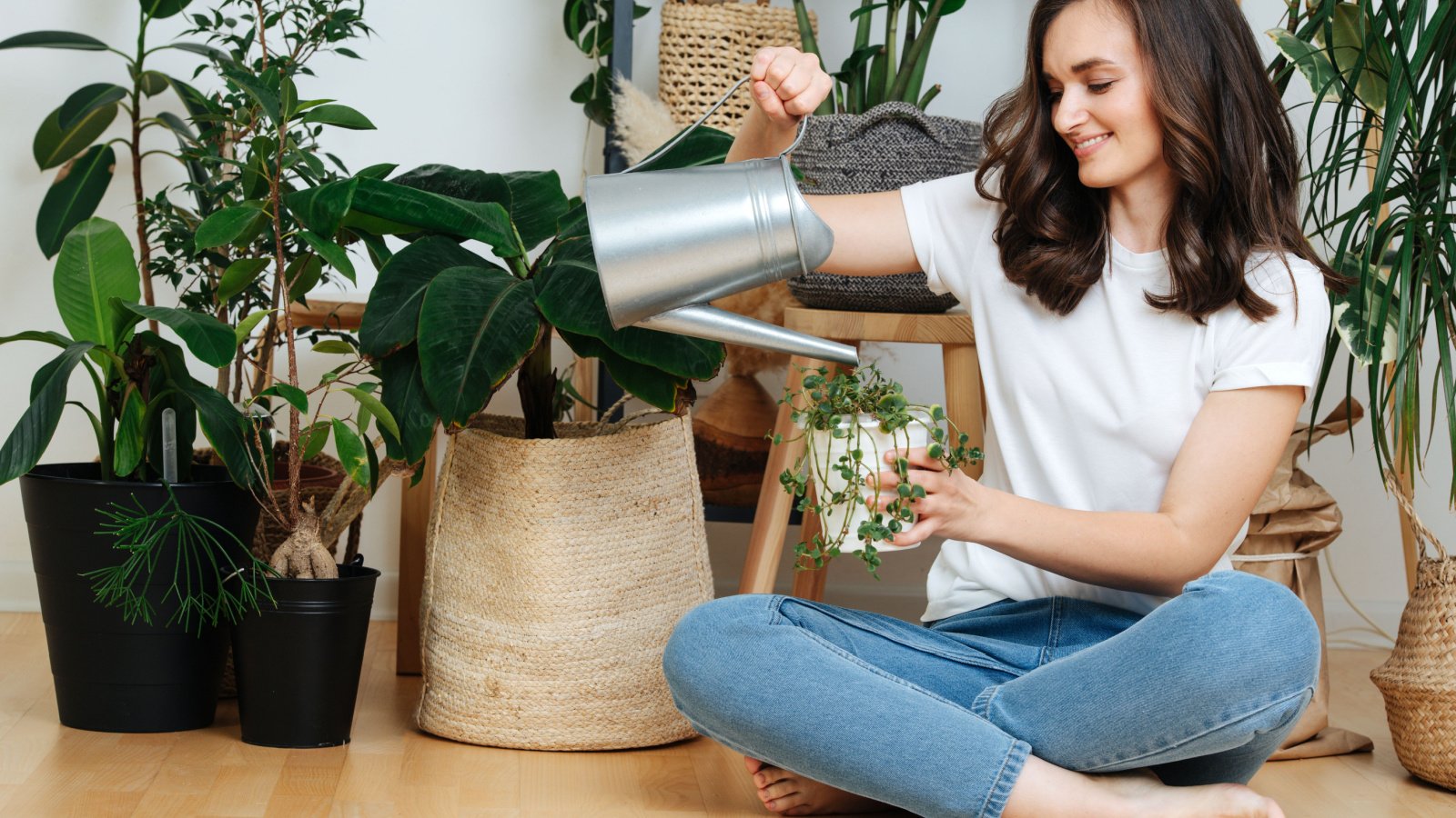 Woman Plants Indoor Cozy Decor Design Home Kuznetsov Dmitriy Shutterstock