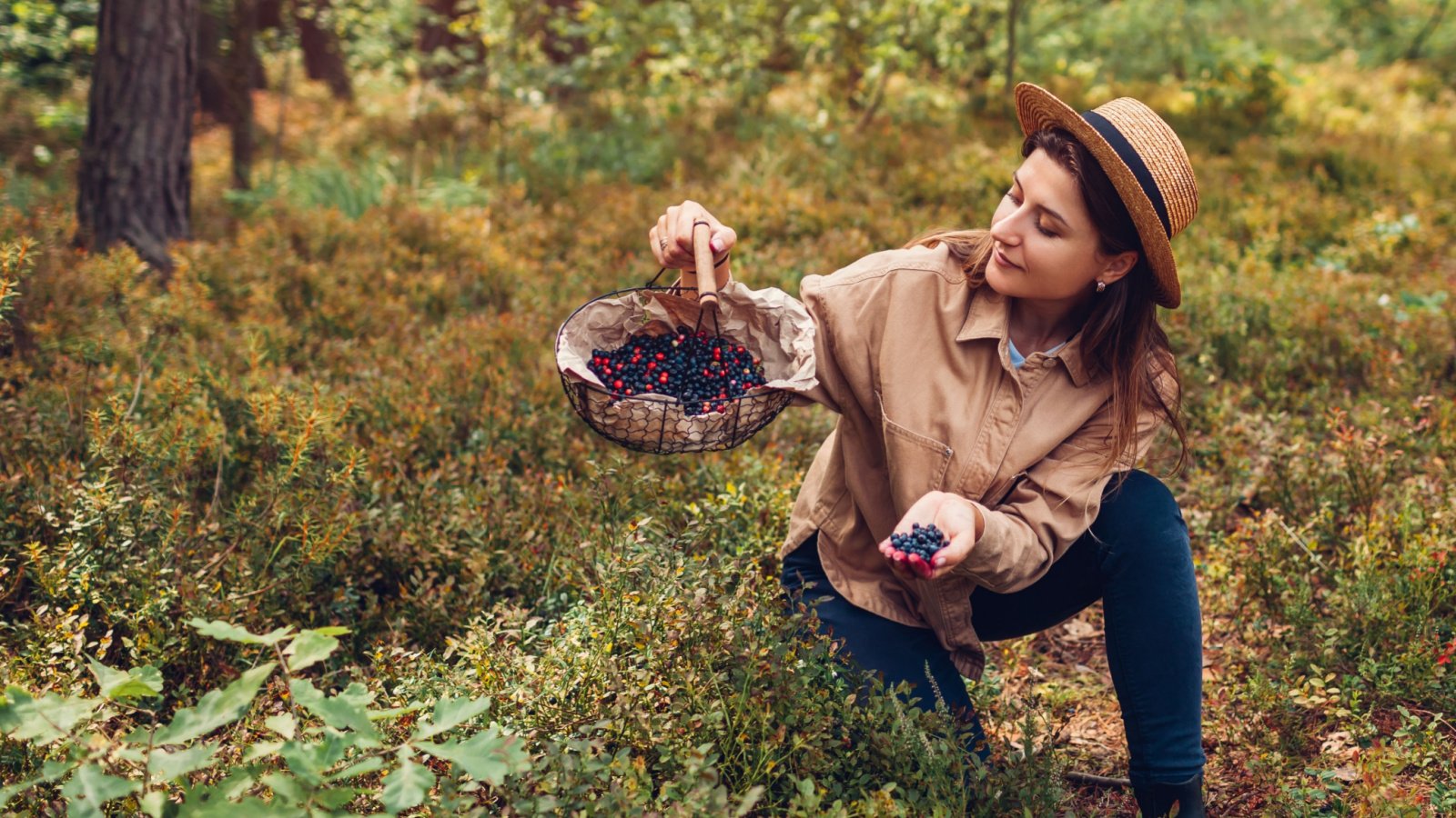 Woman foraging berries berry picking nature Mariia Boiko Shutterstock