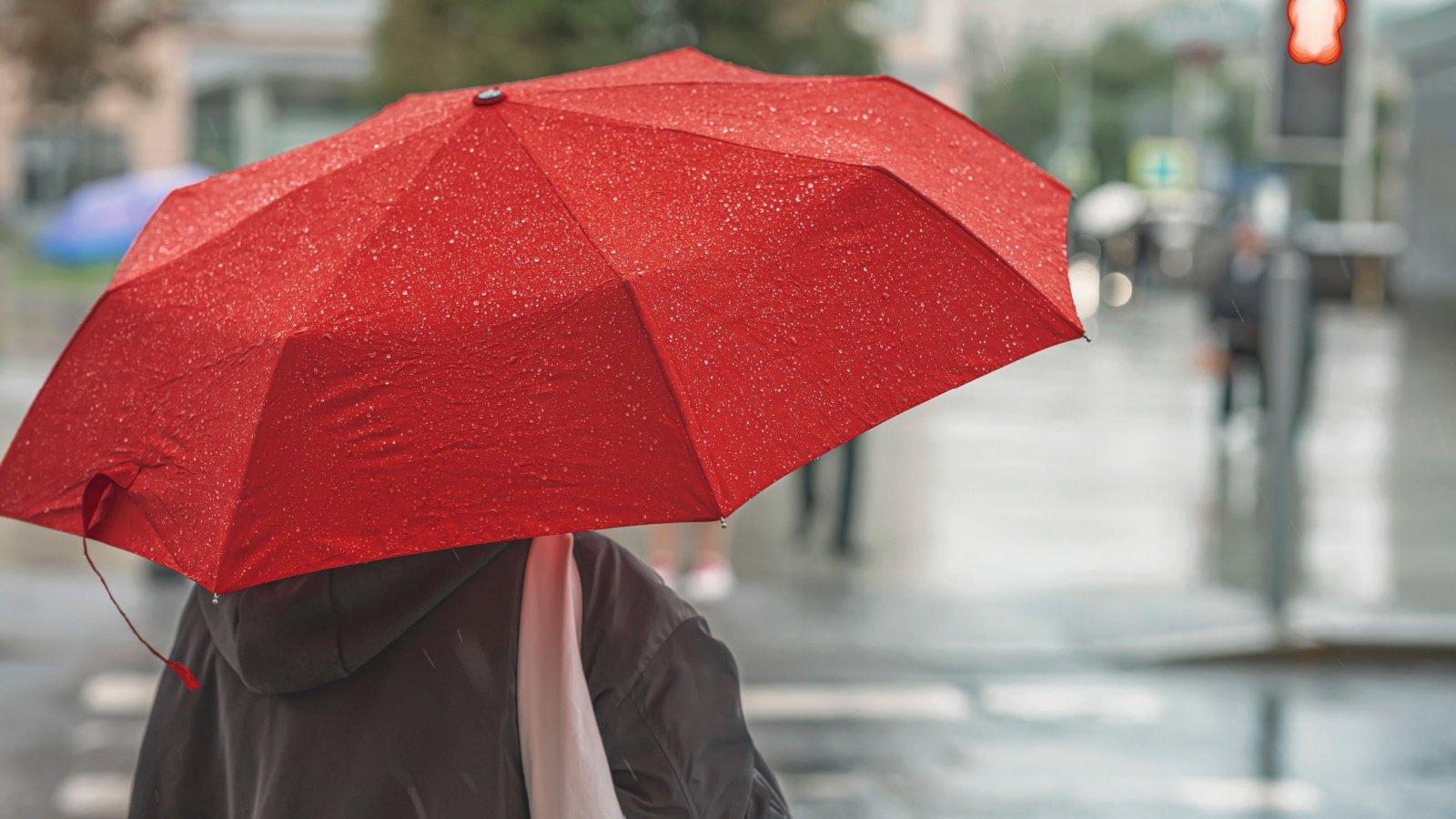 Woman holds red umbrella in the rain weather street city s8 Shutterstock