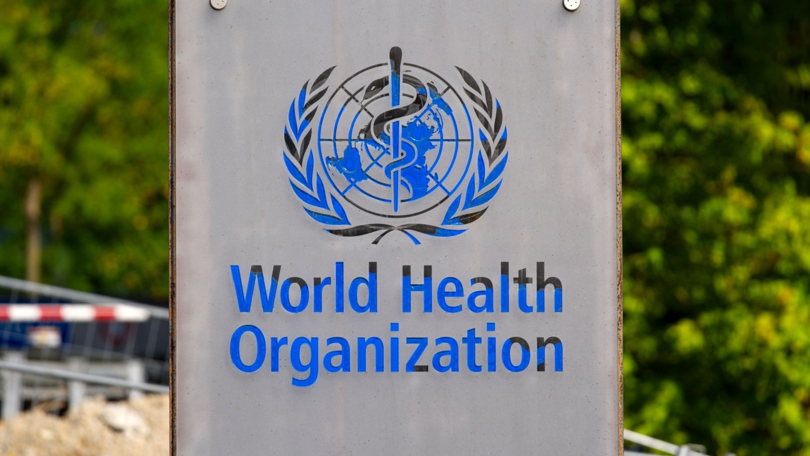 World Health Organization WHO Michael Derrer Fuchs Shutterstock