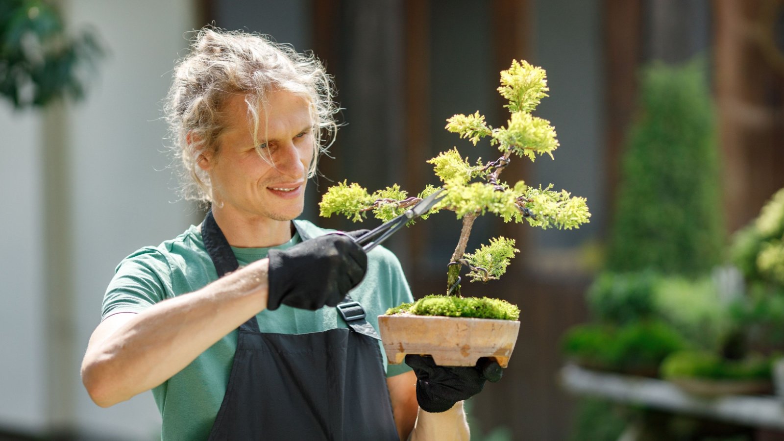 Young blonde male pruring bonsai at backyard garden Oleggg Shutterstock