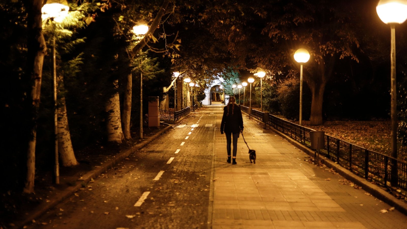 Young woman walking the dog alone on the sidewalk at night in winter Alvaro Hernandez Sanchez Shutterstock