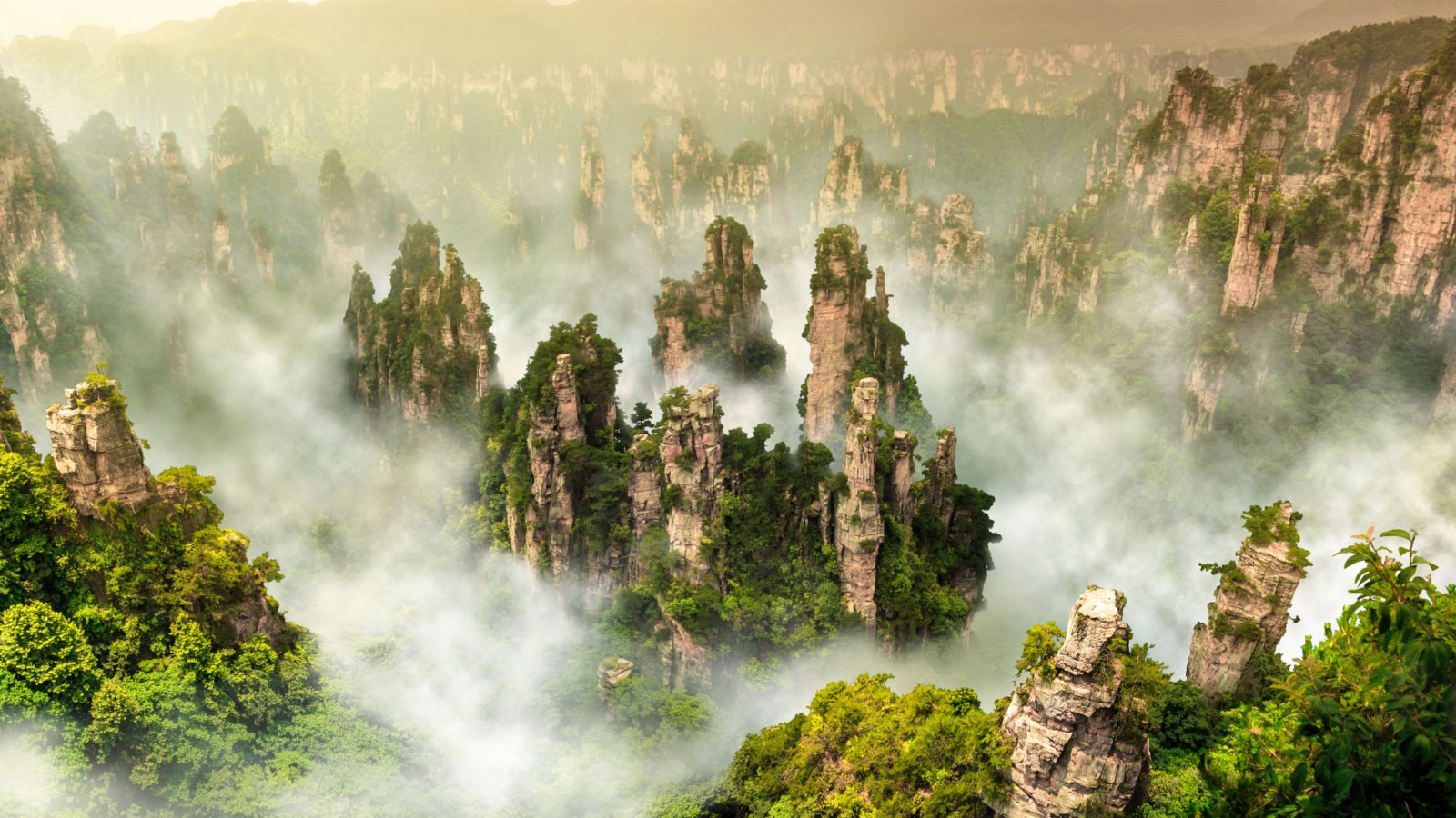 Zhangjiajie cliff mountain at Wulingyuan Hunan China TAW4 Shutterstock