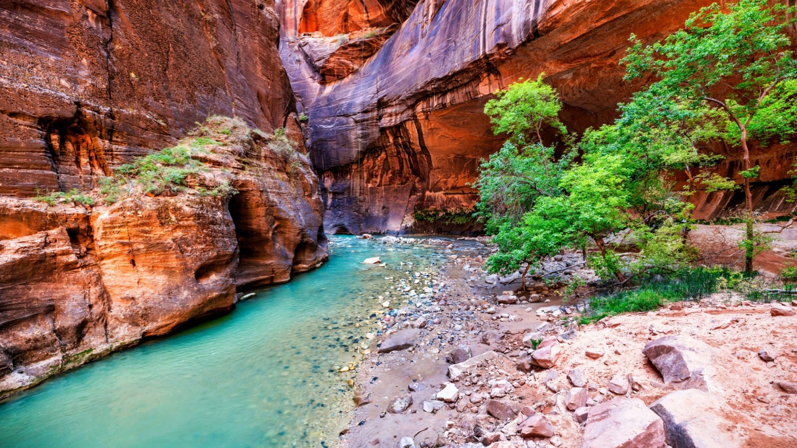 Zion National Park Utah Lebid Volodymyr Shutterstock