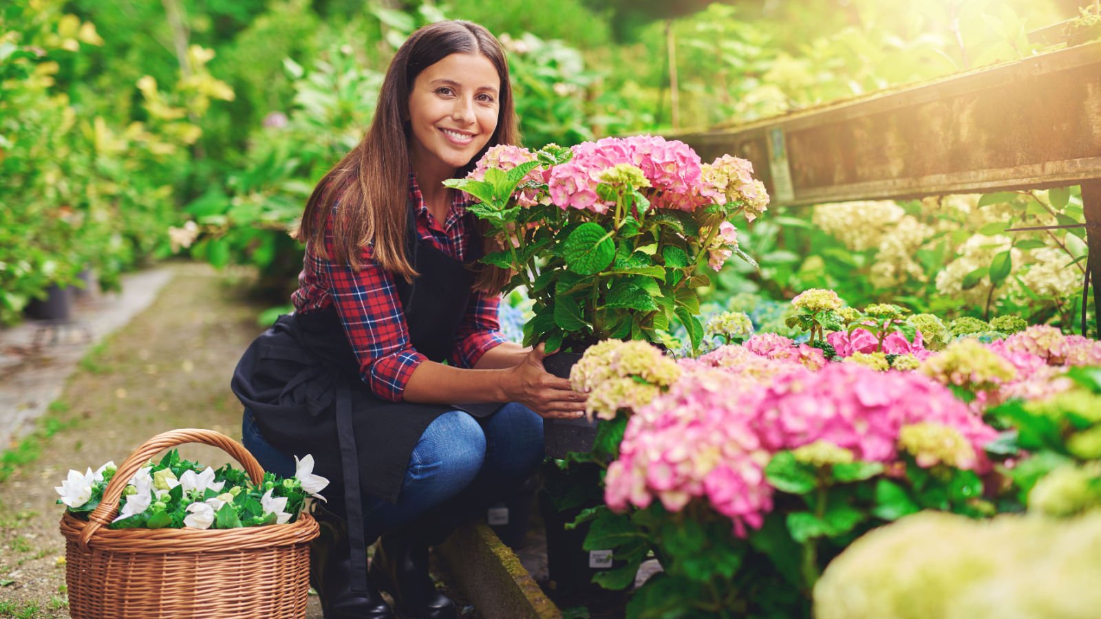 lady garden outdoors flowers ground picture shutterstock