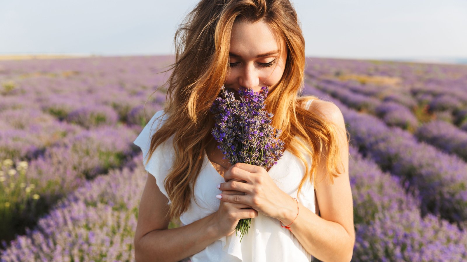 lavendar flowers bouquet outdoor nature Dean Drobot Shutterstock