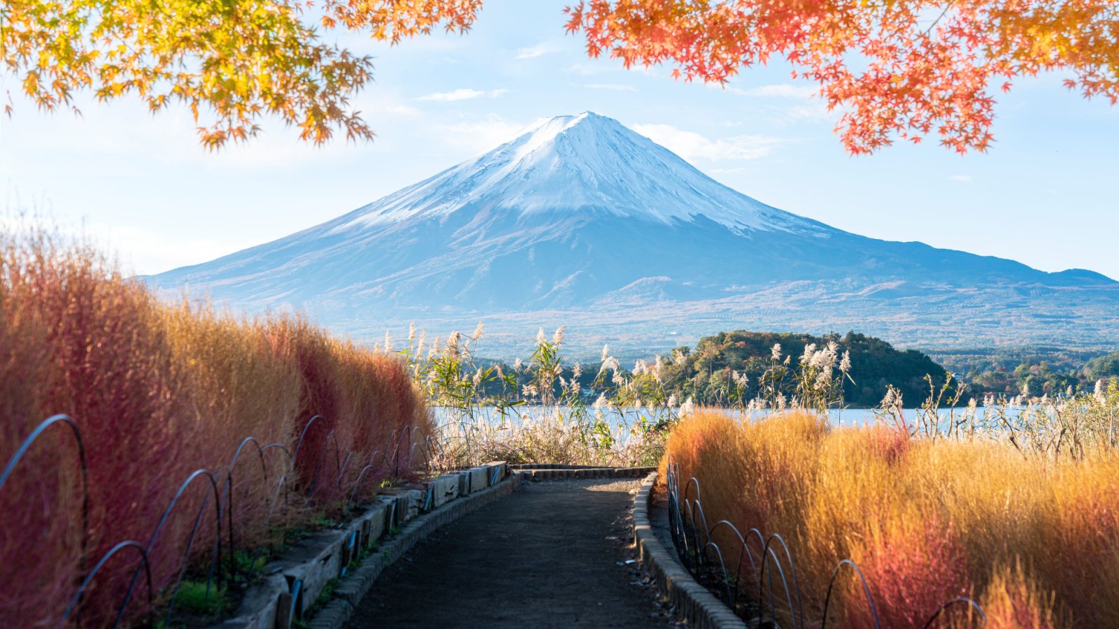 mt fuji japan