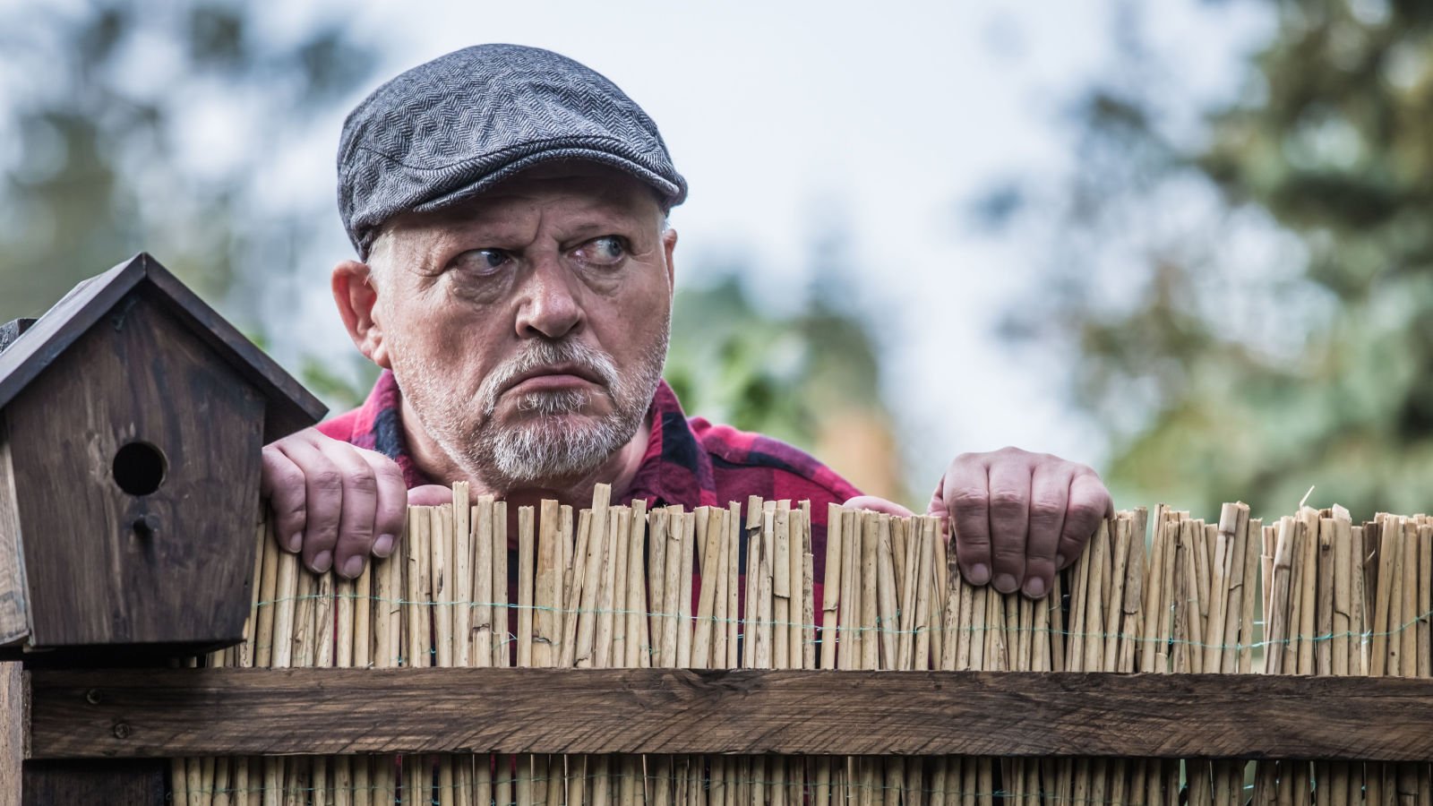 neighbor at the fence rainer fuhrmann shutterstock