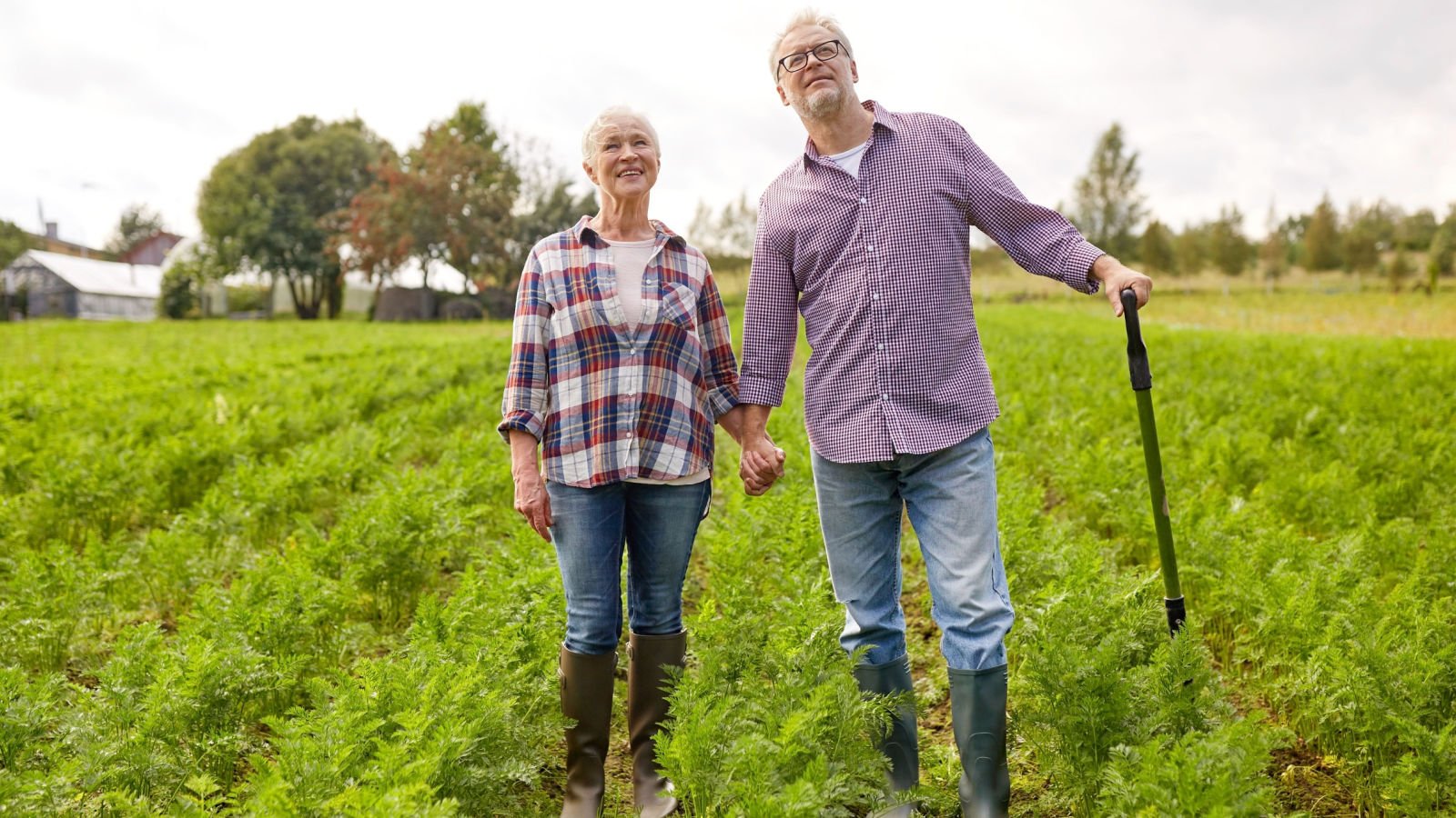 older couple parents farm land property neighbors ground picture shutterstock