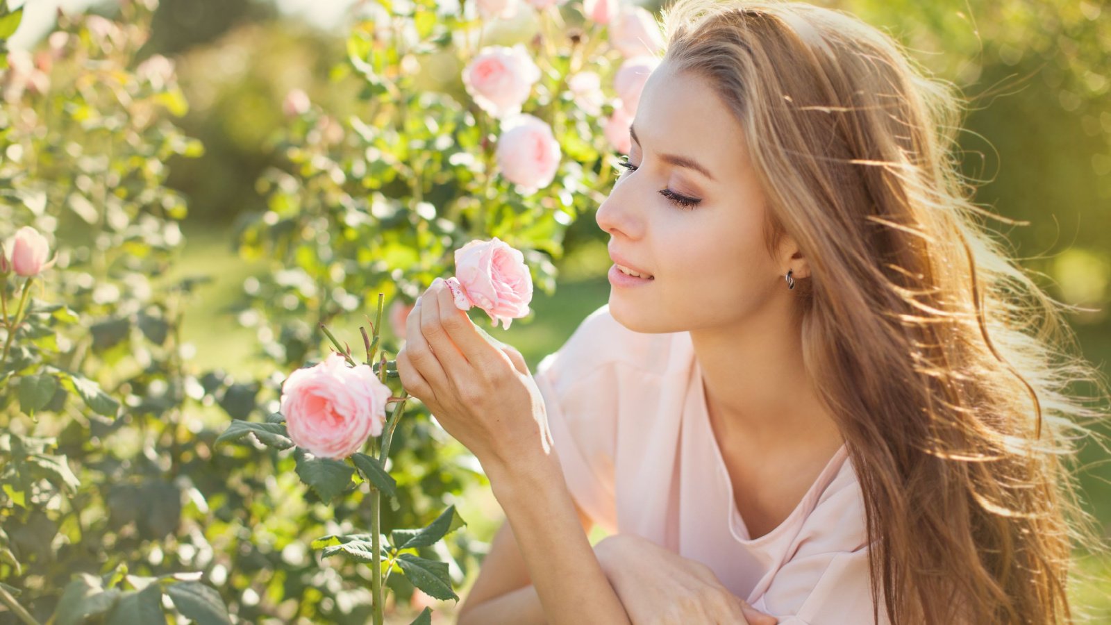 outdoor garden roses flowers nature Mila Supinskaya Glashchenko Shutterstock