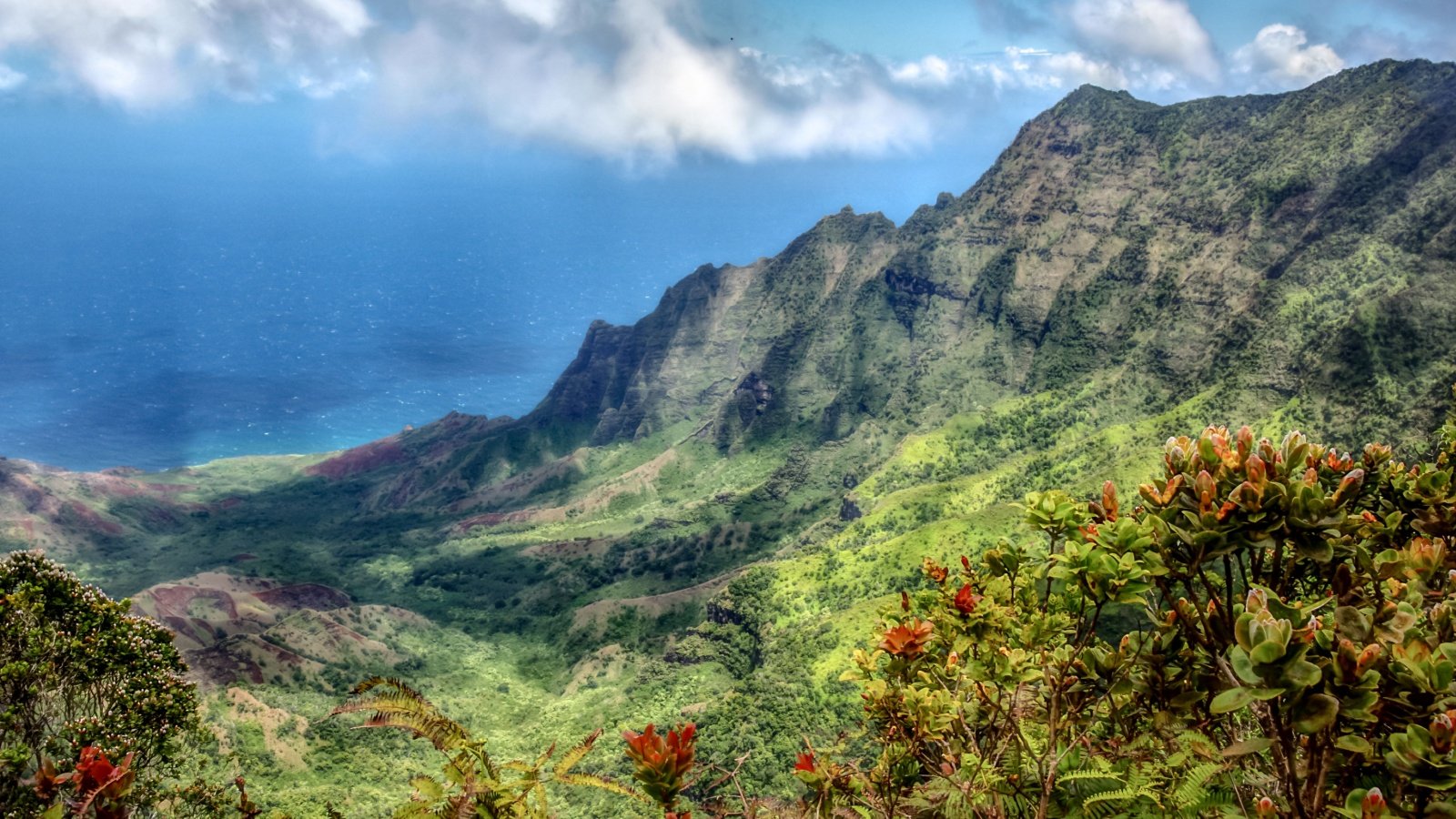 overlook at Pu’u O Kila Lookout Nā Pali Coast Kauai Hawaii Everett Atlas Shutterstock