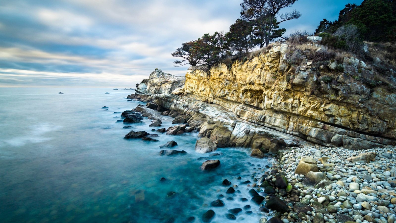 seascape of the Pacific Ocean at Salt Point State Park in California Drew Shetter Shutterstock