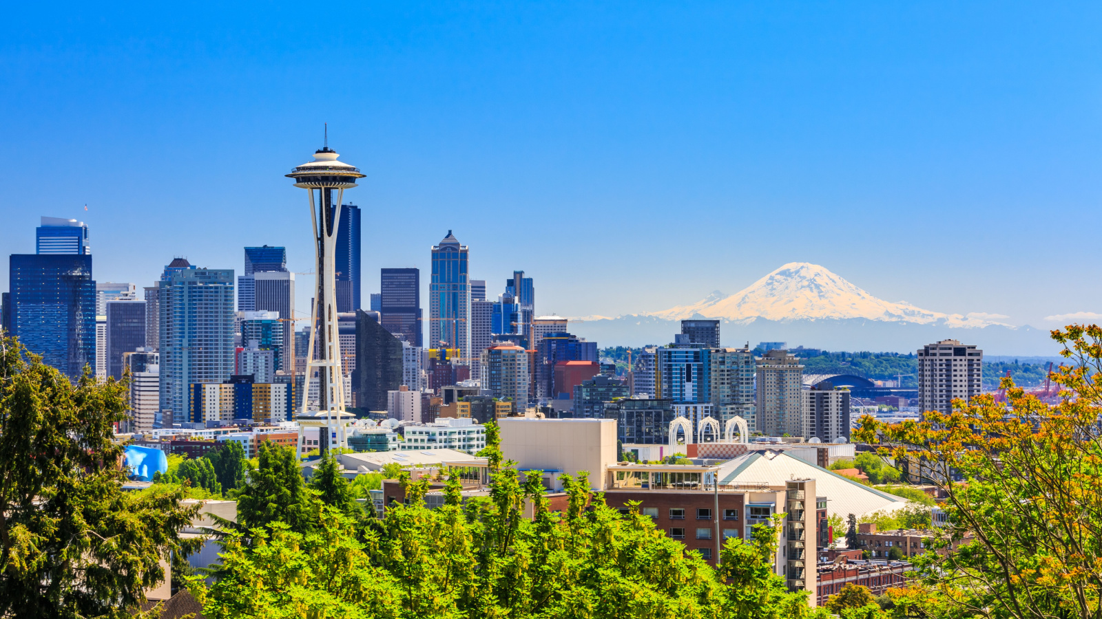 seattle washington skyline city SCStock shutterstock