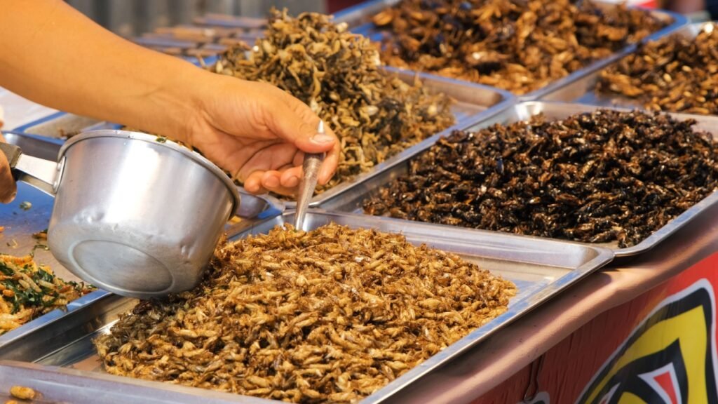 Used Insects 25 Insects Used In Traditional Dishes Around the World