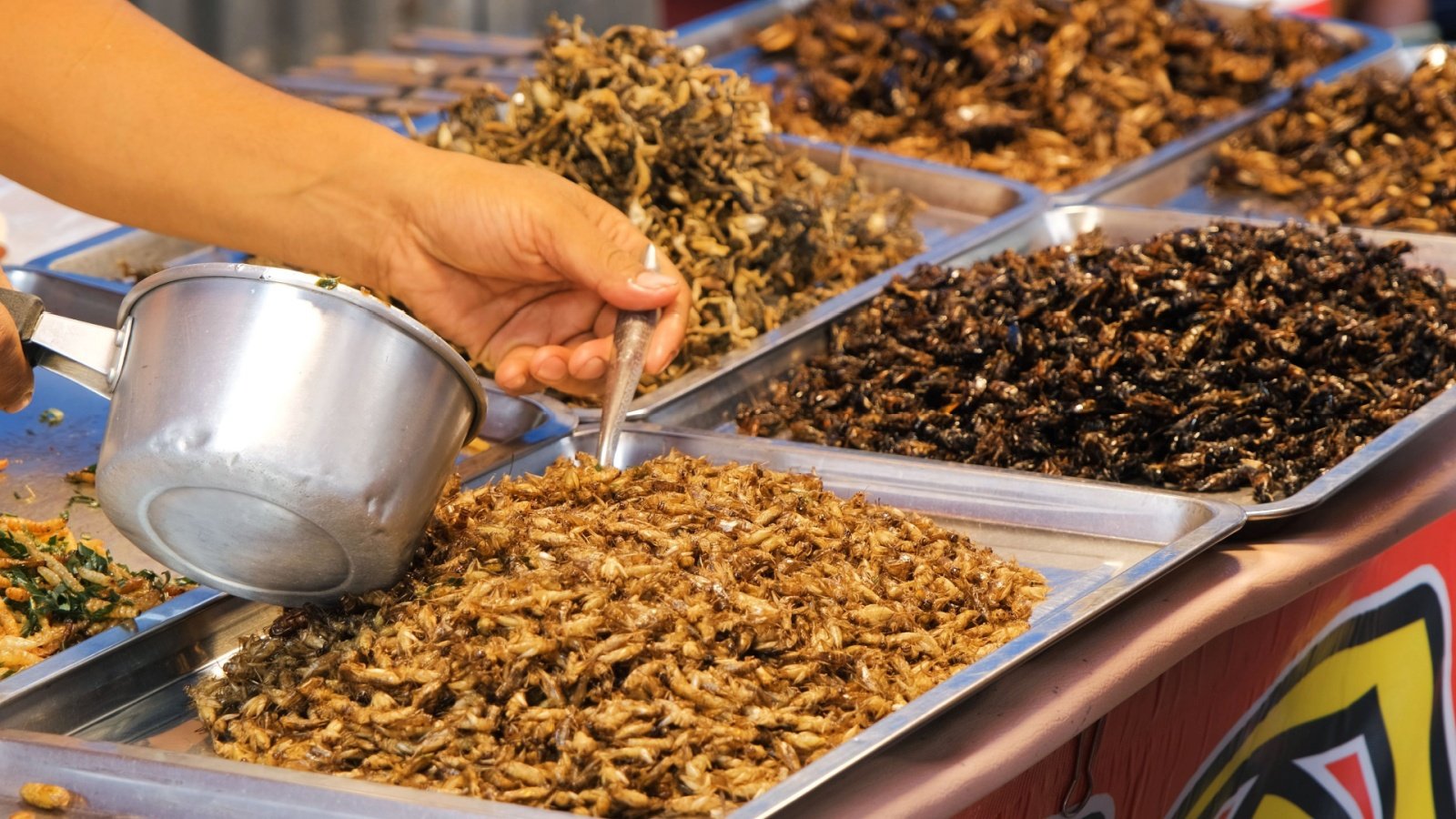 street vendor selling fried insects grasshoppers crickets Malang tod Kmikhidov Shutterstock