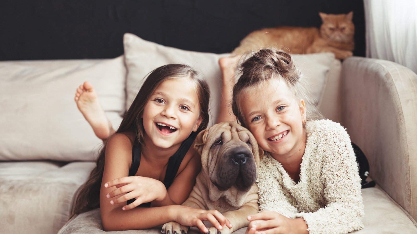 two cute children hugging with ginger cat and puppy of Chinese Shar Pei dog Alena Ozerova Shutterstock